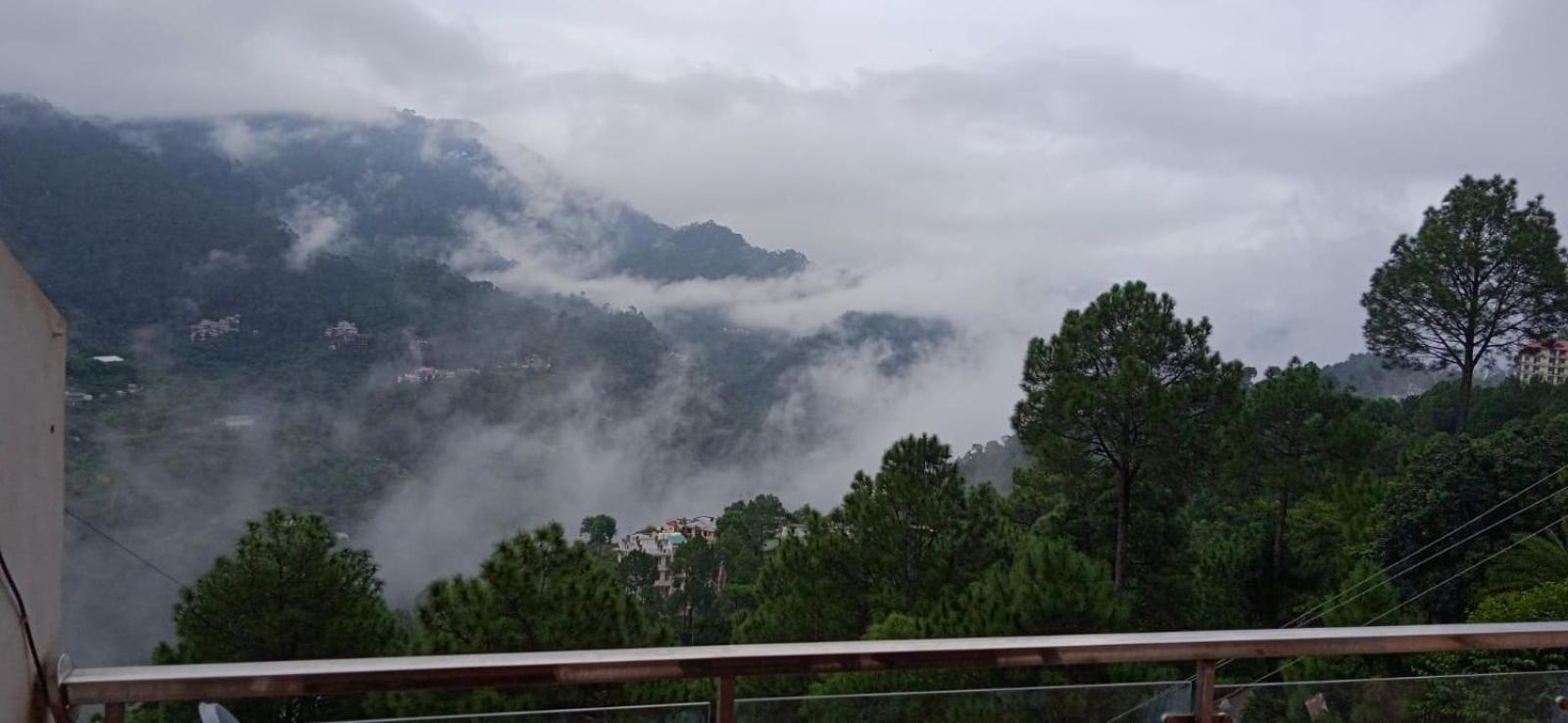 Mystic Forest View Kasauli I Serviced Villa I Best Seller I Vacations I Family Events I Open Air Lawn I Sky Bonfire I Kasauli By Exotic Stays 外观 照片